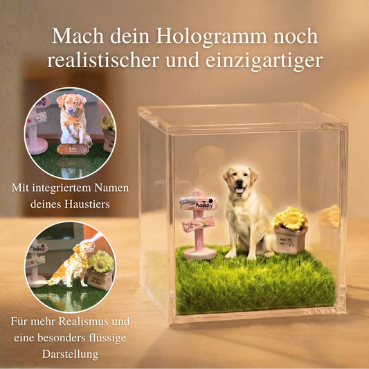 3D Hologramm Optimierung + Namensintegration