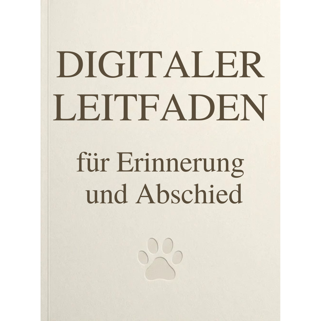 Digitaler Leitfaden „Zum Gedenken“