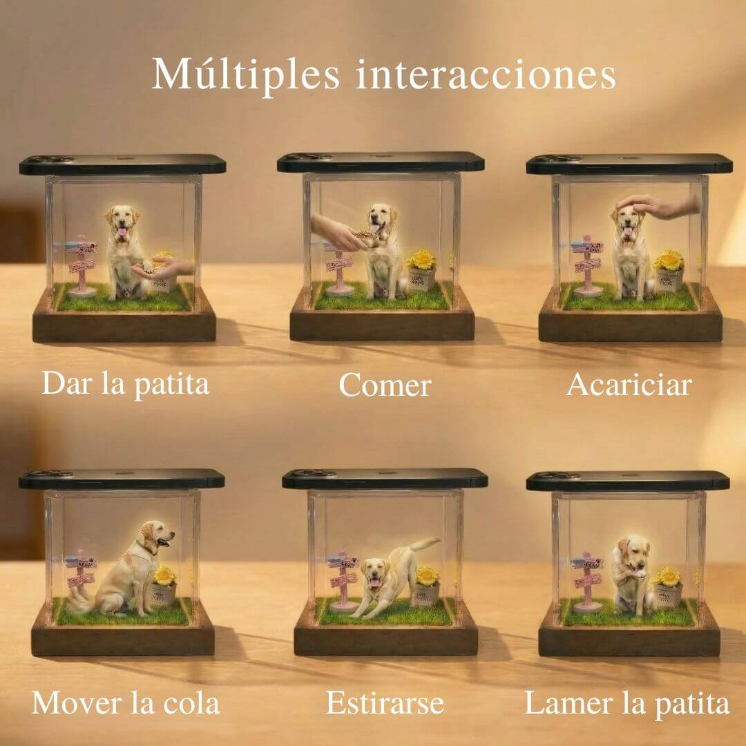 Recuerdo Holográfico Personalizado